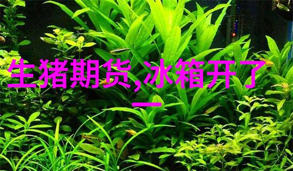 注意冰箱中储存4天以上的熟肉有害