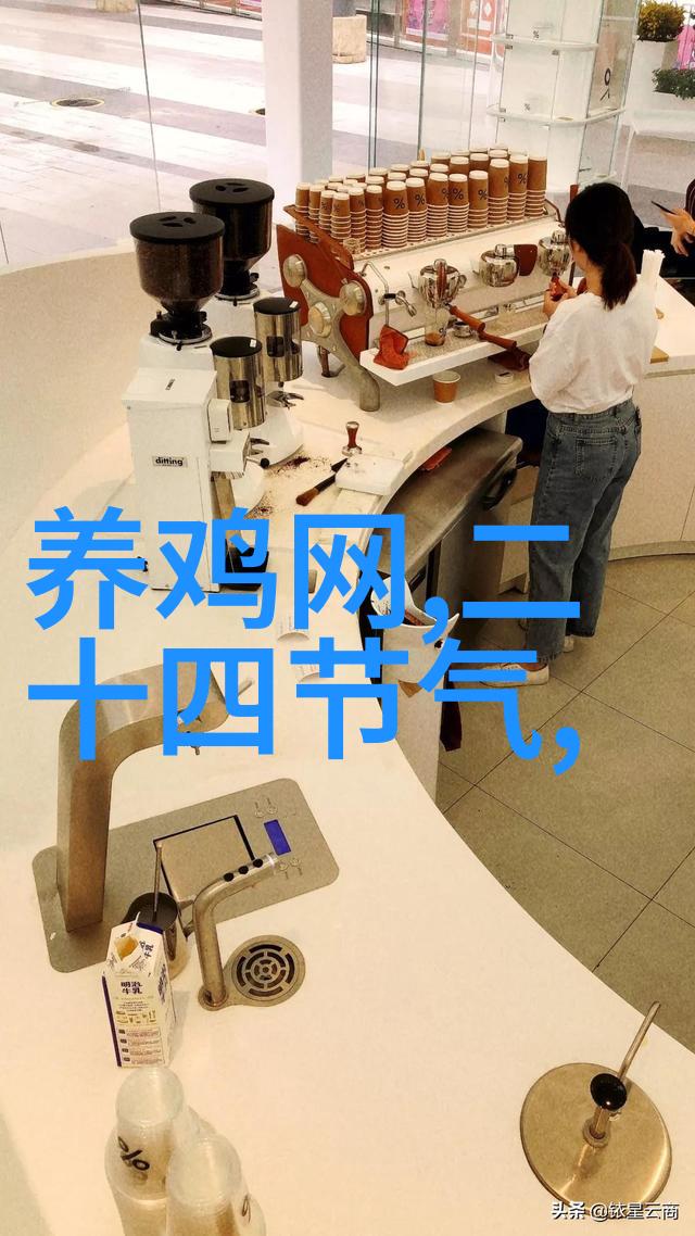 新花纹新设计 LG两门冰箱超值售出