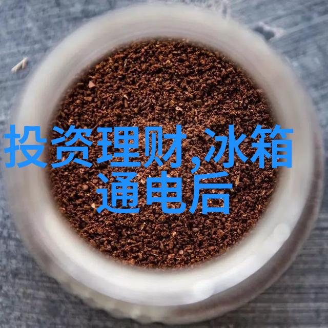 海尔牡丹花冰箱 对开门设计豪华大气