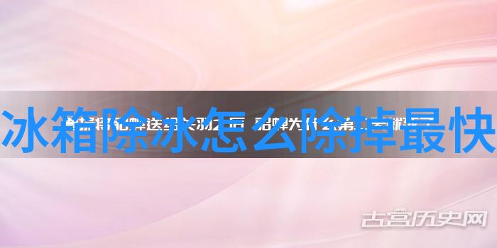 博世幻彩冰箱 换门设计仅售6000元