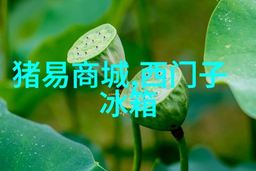 海尔牡丹花设计 对开门冰箱不足万元