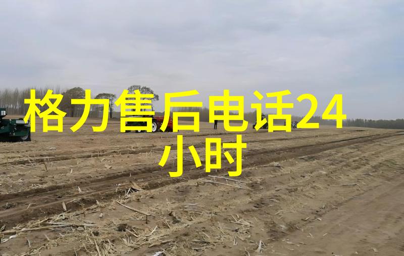 病毒终结者格兰仕GZ20空气消毒机正式发布