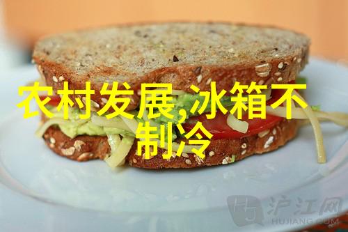 海尔冰箱大降价 三门设计国美热卖