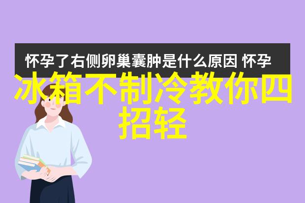 松下冰箱仅售3000余元 国美强劲推荐
